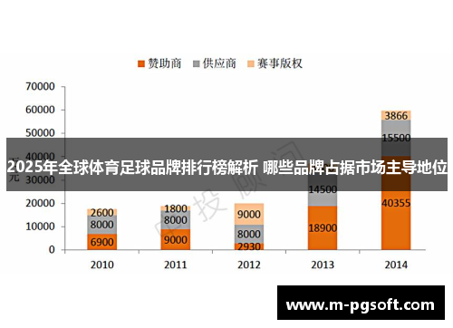 2025年全球体育足球品牌排行榜解析 哪些品牌占据市场主导地位